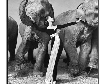 DOVIMA With The Elephants • Photo Print • By Avedon • On H Q Photo Paper • ONLY ONE • H Q Reproduction Prints •  Available Framed Too !!!