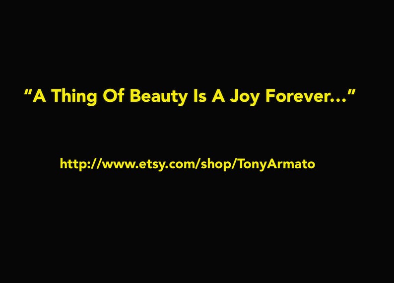 NASTASSJA KINSKI & The Serpent POSTER Replica By Avedon Etsy