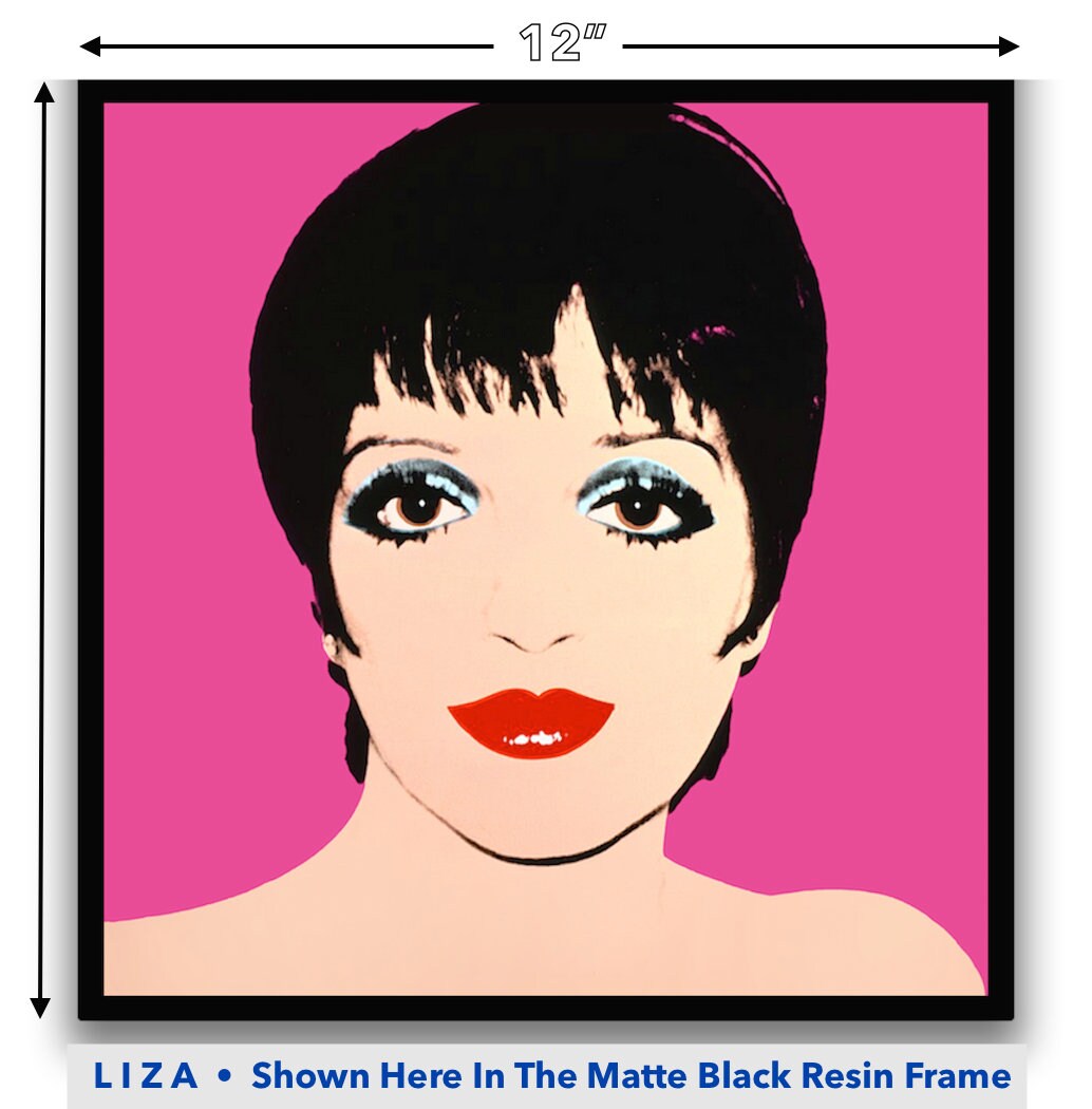LIZA MINELLI by ANDY Warhol • the Iconic Silk Screen Painting