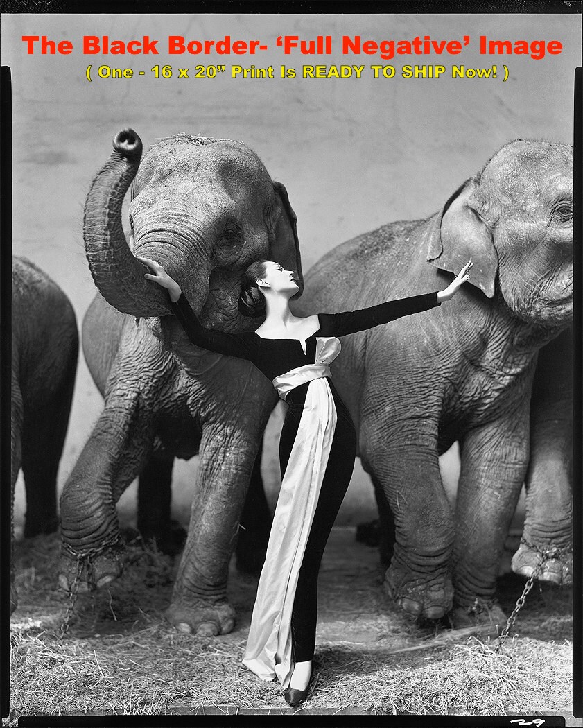 Dovima with Elephants // Richard Avedon - Signed & Unsigned