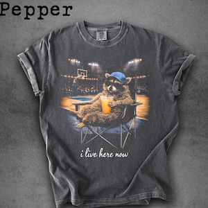 Raccoon Basketball Shirt - Etsy