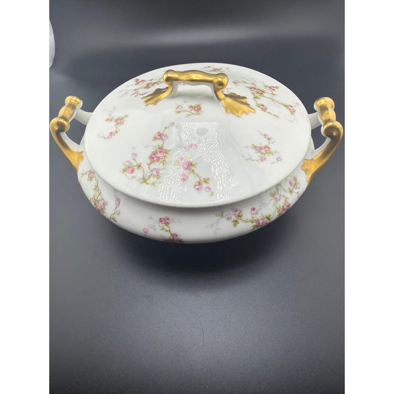 Haviland & Co Limoges France Porcelain Covered Vegetable Tureen Lid image 1