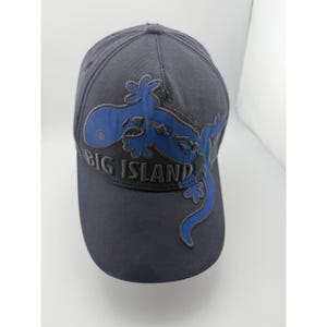 Cappello hawaiano con geco della Big Island, grigio e blu, con bandiera delle Hawaii. immagine 1