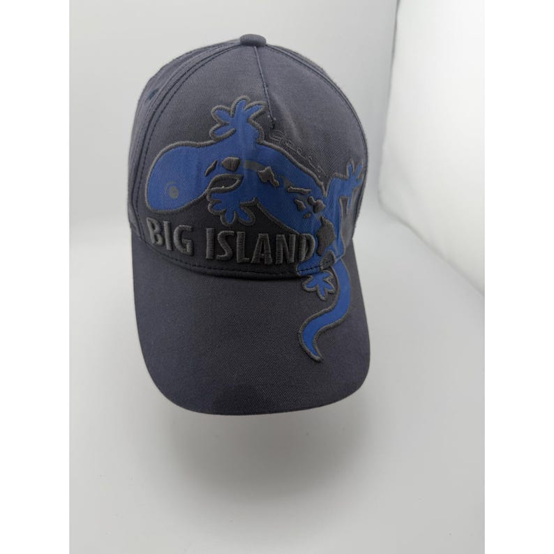Cappello hawaiano con geco della Big Island, grigio e blu, con bandiera delle Hawaii. immagine 2