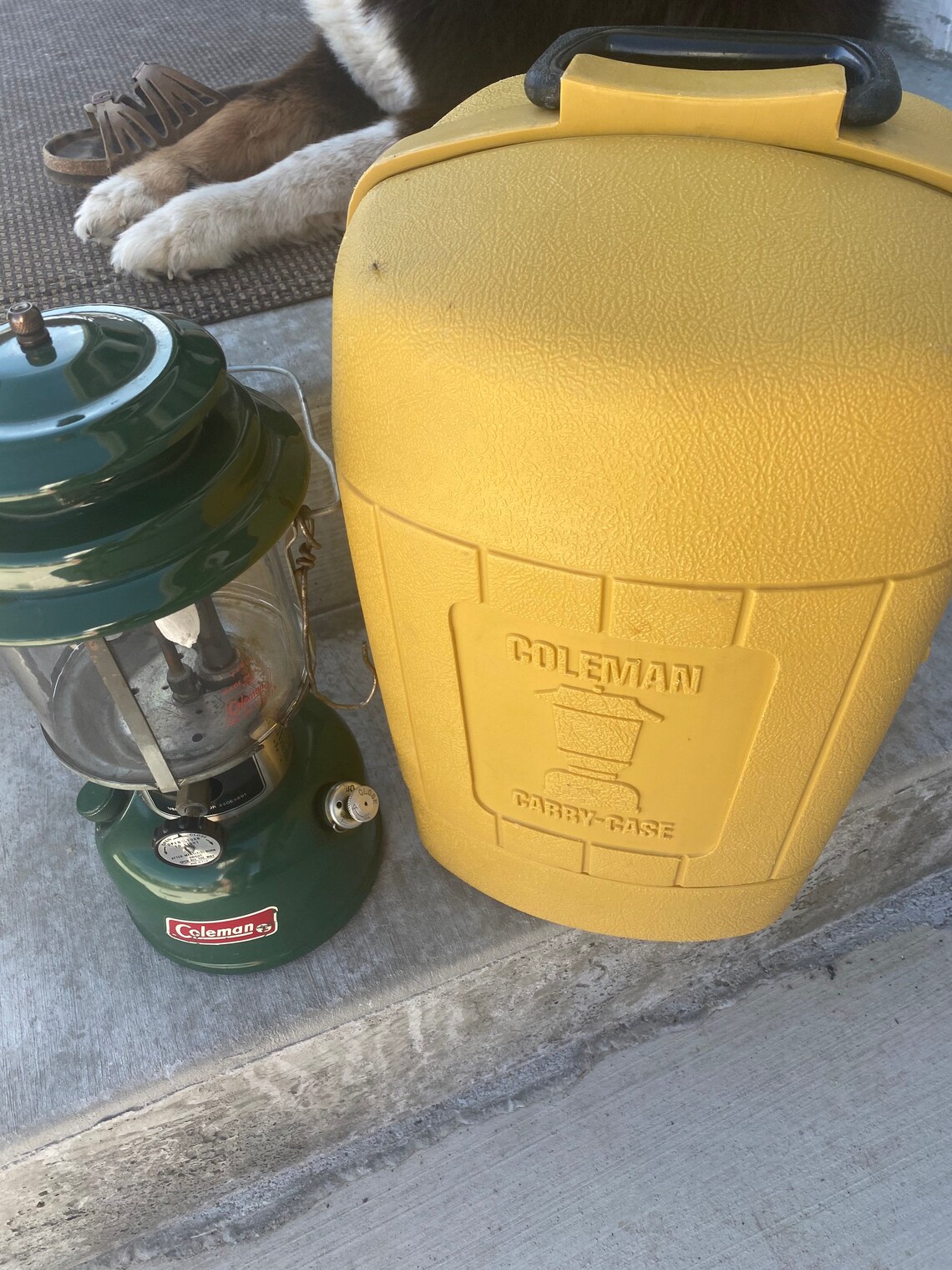 Vintage 1978 COLEMAN Lantern Model 220J & Yellow Carry Case Etsy