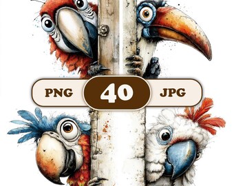 Peeking Exotic Birds Clipart Bundle, Tropical Parrot PNG, Jungle Bird Graphics, Watercolor Flier ClipArt