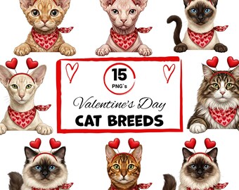 15 Valentine Cat Clipart Bundle | Breeds PNG, Heart Accessories (Digital Download)