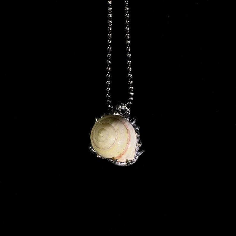 May include: A silver necklace featuring a natural seashell pendant. The pendant is a cream and pink spiral shell, encased in a decorative silver setting. The necklace hangs against a black background.