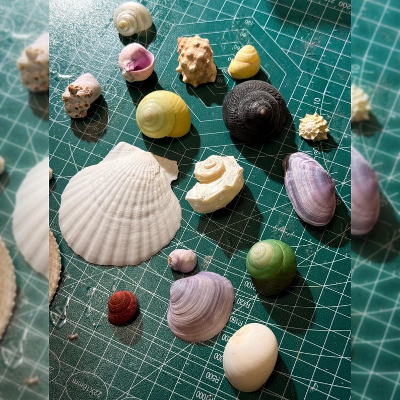 Spiky Seashell Necklace: [Series #1], Handmade Soldering Shell Pedant, Alternative Accessories, Dark Goth Style image 17