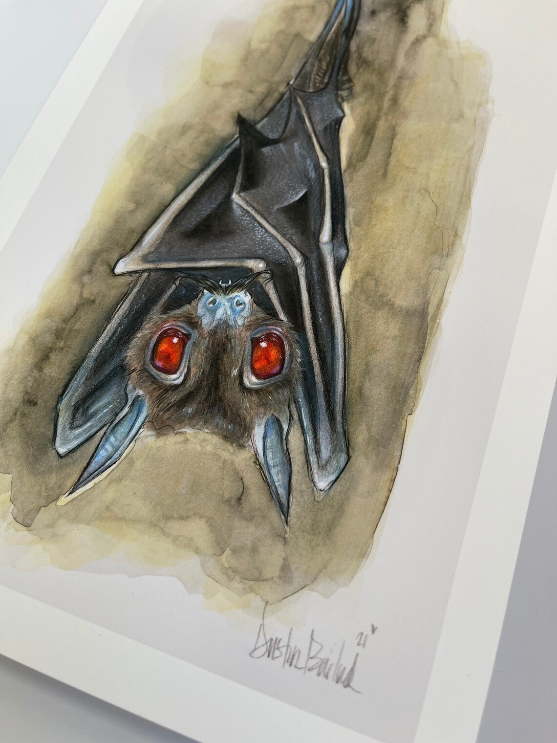 Edwin Bat. 11x7 Vampire Bat Print by Dustin Bailard. | Etsy