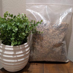 May include: A white, ribbed ceramic planter holds a small, green leafy plant. Next to it, a clear plastic bag is filled with a mixture of brown and black material. The items are on a wooden surface.