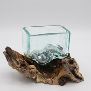 Rectangular glass tank on Gamal wood root · Handblown Balinese Artisan Decor · Unique Housewarming Gift