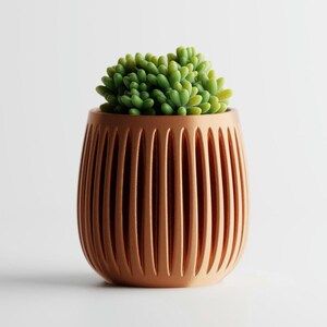 Maceta Columna de van Kolk: Maceta minimalista mate, decoración ecológica escandinava para el hogar.