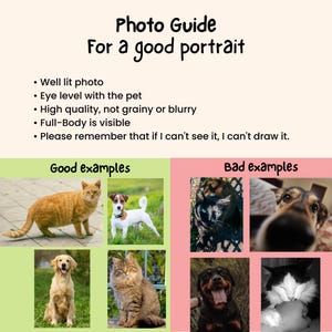 May include: An informational graphic titled Photo Guide For a good portrait with bulleted instructions for pet photography. It displays four good examples of pets in light green boxes and four bad examples in light pink boxes.