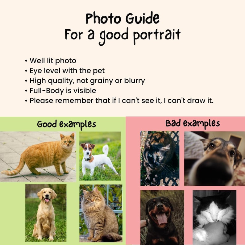 May include: An informational graphic titled Photo Guide For a good portrait with bulleted instructions for pet photography. It displays four good examples of pets in light green boxes and four bad examples in light pink boxes.
