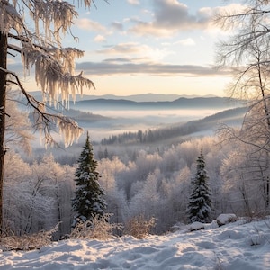 May include: A winter landscape featuring snow-covered trees and a valley shrouded in mist. The scene is illuminated by the sun, creating a serene and cold atmosphere. Icicles hang from the branches of the trees, adding to the winter theme.