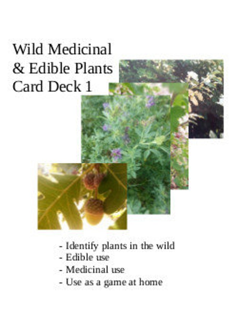 Wild Herb Card Decks