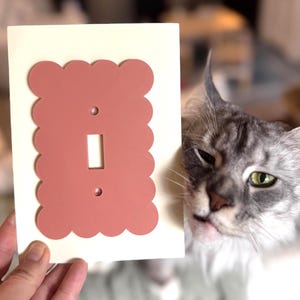 May include: A rectangular light switch cover plate with a scalloped edge design in a matte dusty rose colour. The plate features a central vertical toggle switch opening and two small circular screw holes positioned above and below the switch.