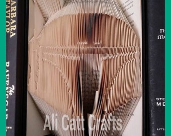 195 Boba Fett (Star Wars) - Book Folding Pattern