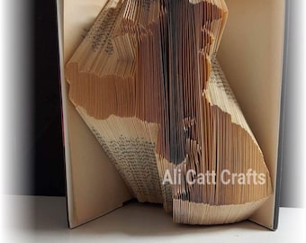 71 - Goofy - Book folding pattern