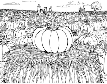 Pumpkin Patch Coloring Page