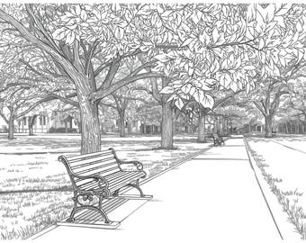 Fall Park Coloring Page