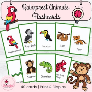 May include: A collection of flashcards depicting rainforest animals such as a macaw parrot, toucan, sloth, and tiger. Each card is labelled with the animal's name. The text "Rainforest Animals Flashcards" is displayed at the top. The set contains 40 cards.