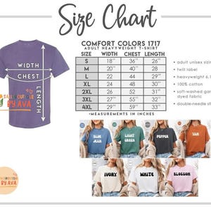Retro Disneyland Toy Story 5 Checkered Comfort Colors Shirt, Disneyland All Characters Shirt, Lilypad Woody Buzz Disneyland Trip Shirt image 9