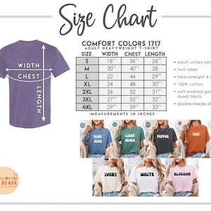 Retro Toy Story Comfort Colors Shirt, Matching Family Disneyland Shirts, Disneyland Group Shirts, Toy Story Woody Buzz Jessie Alien Birthday image 6