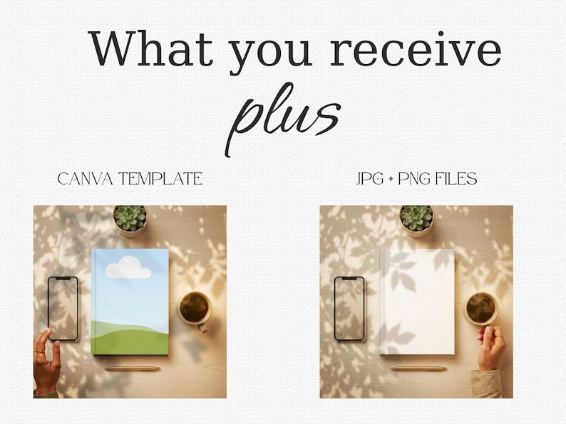 What you receive