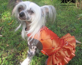Dog Halter Tutu Dress - High Fashion Tangerine Tutu, by RL Couture