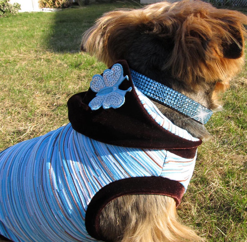 Birthstone Glam Swarovski Crystal Dog collar Crystal Jewelry Pet Collars Bling Dog Collar Crystal Pet Collar Designs in 7 sizes. image 6