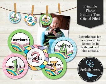 Printable Pastel Rainbow - First Year Photo Bunting Banner Garland Tags - Newborn to 12 Months - Pink and Blue Options - Printable YOU PRINT