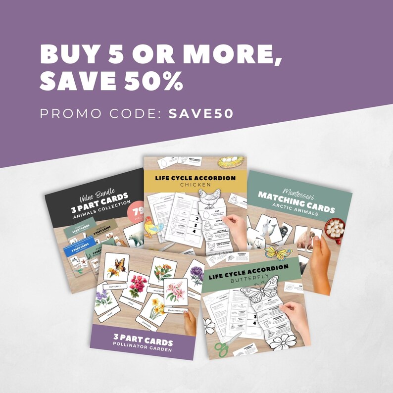 Pollinator Garden Memory Matching Game Cards, Montessori Preschool Activity, Butterfly Flower, Kinder Science Centers, Homeschool Printable image 9