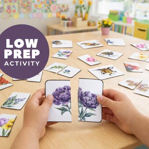 Pollinator Garden Memory Matching Game Cards, Montessori Preschool Activity, Butterfly Flower, Kinder Science Centers, Homeschool Printable image 2