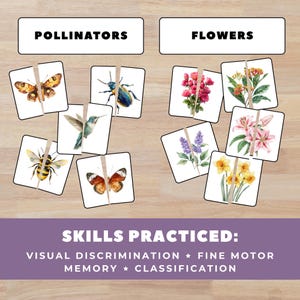 May include: A wooden table displays a matching game with two categories: "Pollinators" and "Flowers." The game features watercolor illustrations of insects, hummingbirds, and various flowers. The text "SKILLS PRACTICED: VISUAL DISCRIMINATION * FINE MOTOR MEMORY * CLASSIFICATION" is also visible.