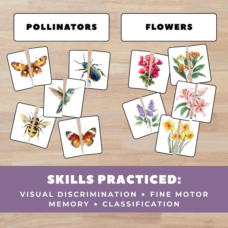 May include: A wooden table displays a matching game with two categories: "Pollinators" and "Flowers." The game features watercolor illustrations of insects, hummingbirds, and various flowers. The text "SKILLS PRACTICED: VISUAL DISCRIMINATION * FINE MOTOR MEMORY * CLASSIFICATION" is also visible.