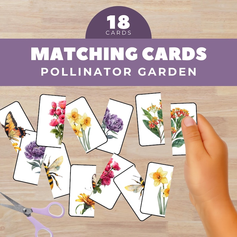May include: A set of 18 matching cards featuring colorful illustrations of flowers, butterflies, and bees. The cards are arranged on a wooden surface, with the text "Matching Cards Pollinator Garden" displayed above. A pair of purple scissors is visible.