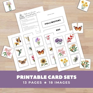 Pollinator Garden Memory Matching Game Cards, Montessori Preschool Activity, Butterfly Flower, Kinder Science Centers, Homeschool Printable image 3