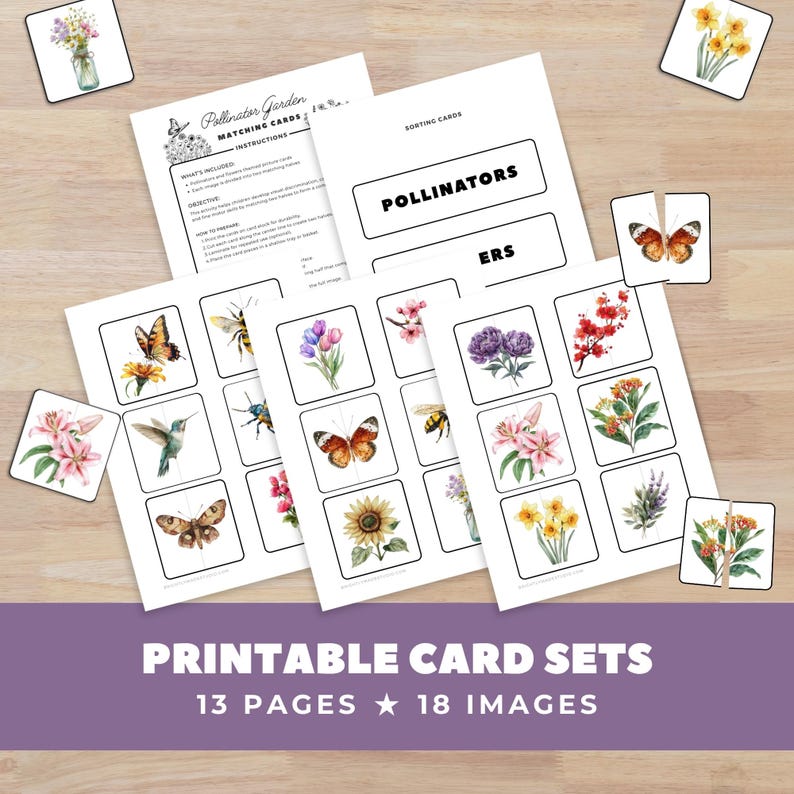 Pollinator Garden Memory Matching Game Cards, Montessori Preschool Activity, Butterfly Flower, Kinder Science Centers, Homeschool Printable image 3