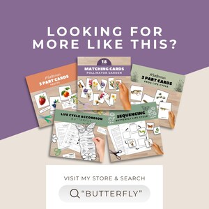 May include: A set of three ceramic canisters with lids. The canisters are white with a blue floral pattern. The largest canister is 8 inches tall, the medium is 6 inches, and the smallest is 4 inches.