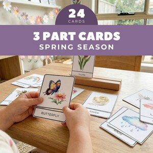 May include: A collection of 24 spring-themed 3-part cards. One card features a butterfly on a flower. Other cards show a chick, rain, and a rainbow. The cards are on a wooden table. The text on the cards includes "Butterfly", "Chick", and "Rain".
