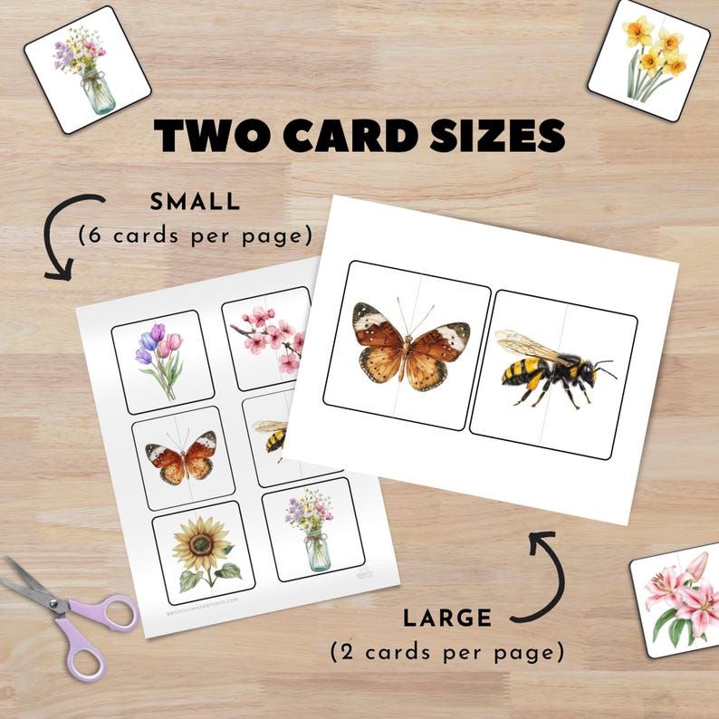 Pollinator Garden Memory Matching Game Cards, Montessori Preschool Activity, Butterfly Flower, Kinder Science Centers, Homeschool Printable image 8