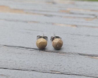 Zarte Petoskey-Ohrstecker. 6 mm. Fossilisierte Koralle. Geschenkidee: Hochzeit, Jahrestag, Weihnachten, Muttertag, Geburtstag.
