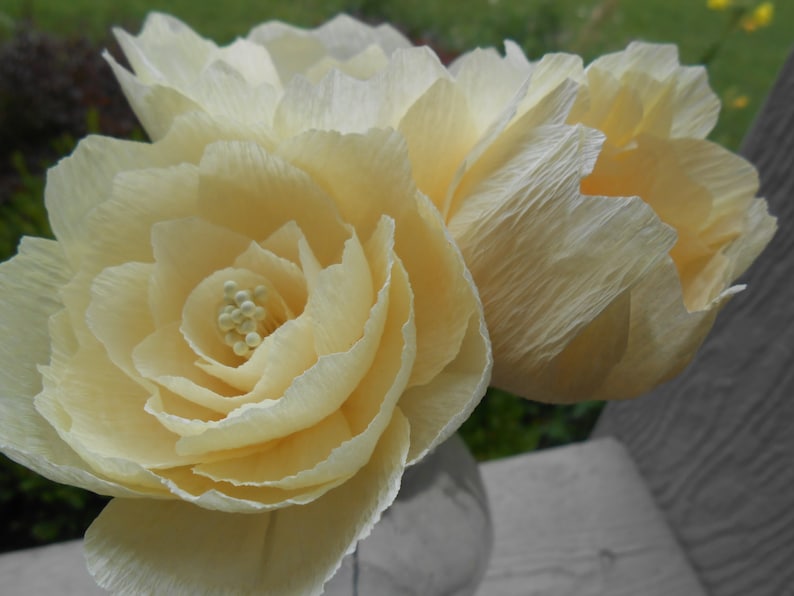 May include: Two large, cream-colored paper flowers with ruffled petals. The flowers are arranged in a vase and have a delicate, vintage aesthetic.