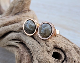 Petoskey Stone Earrings. 10mm Stud Earrings. Fossilized Coral. Wedding, Anniversary Gift, Christmas Gift, Gift For Mom, Birthday Gift.