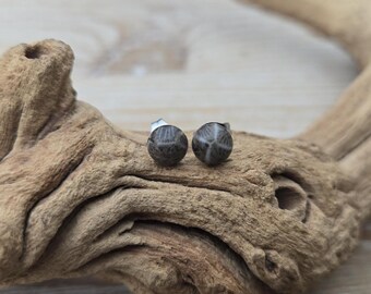 Zarte Petoskey-Ohrstecker. 6 mm. Fossilisierte Koralle. Geschenkidee: Hochzeit, Jahrestag, Weihnachten, Muttertag, Geburtstag.