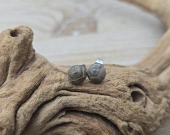 Zarte Petoskey-Ohrstecker. 6 mm. Fossilisierte Koralle. Geschenkidee: Hochzeit, Jahrestag, Weihnachten, Muttertag, Geburtstag.