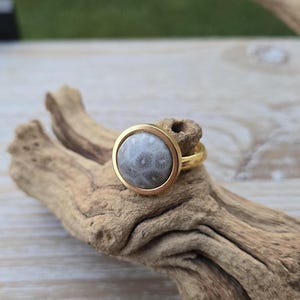 May include: A gold-toned ring featuring a circular, smooth, grey stone cabochon with a subtle, light-coloured, star-like pattern embedded within the centre. The ring band is plain and polished, holding the stone in a simple, rounded metal bezel setting.