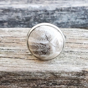 Petoskey Stone Ring. Silver Colored. Fossilized Coral. Wedding, Christmas Gift, Anniversary Gift. Michigan